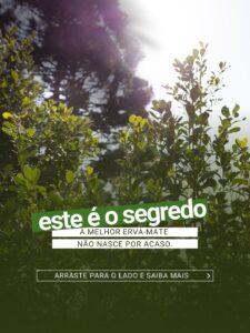 Carrossel Erval Taquaral 1