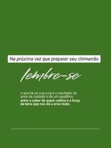 Carrossel Erval Taquaral 5